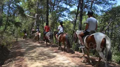 Прогулка на лошадях в Алании nav photo 16