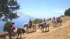 Прогулка на лошадях в Алании nav photo 3