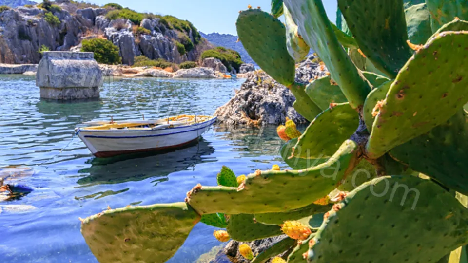 Экскурсия Демре-Кекова-Мира из Алании photo 7