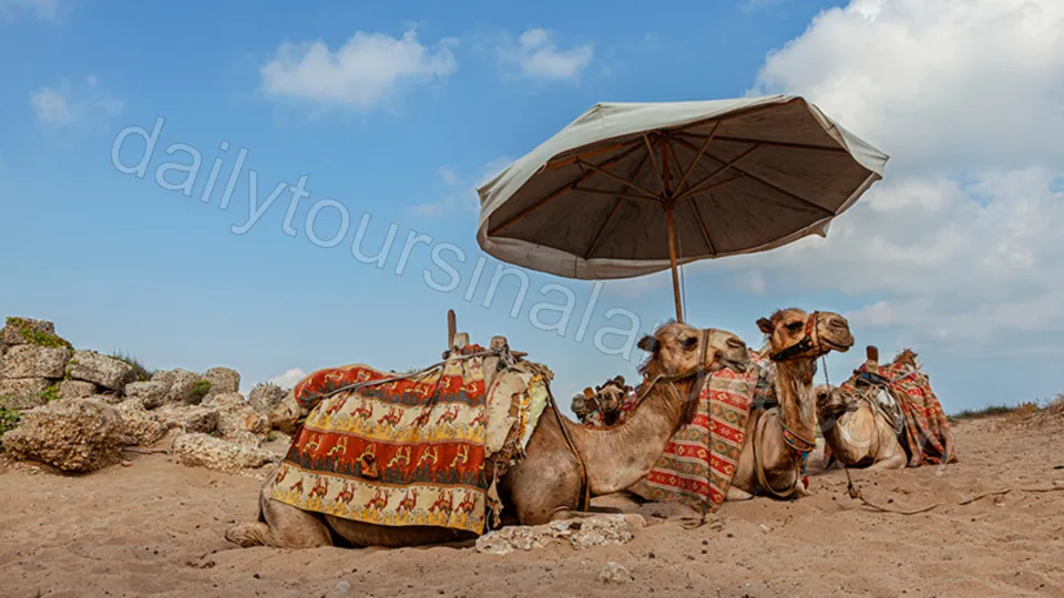 Manavgat Şelalesi Aspendos Side Turu photo 14
