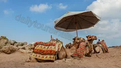 Manavgat Şelalesi Aspendos Side Turu nav photo 14