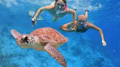 Alanya Private Snorkeling Tour