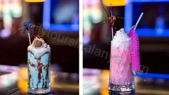 Alanya Viking Gün Batımı Tekne Turu nav photo 12