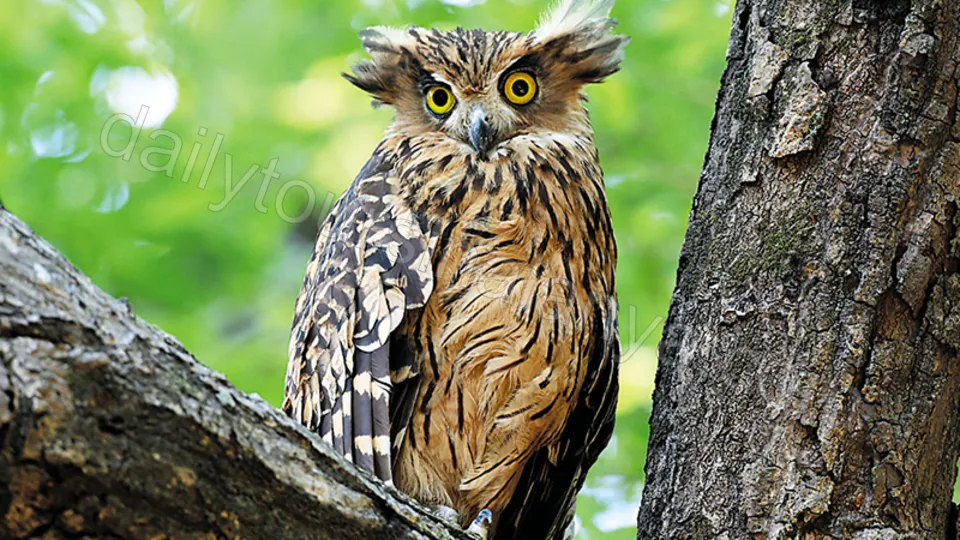 Yeşil Kanyon Tekne Turu photo 8