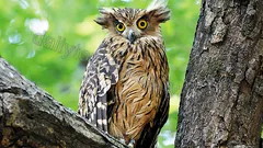 Yeşil Kanyon Tekne Turu nav photo 8