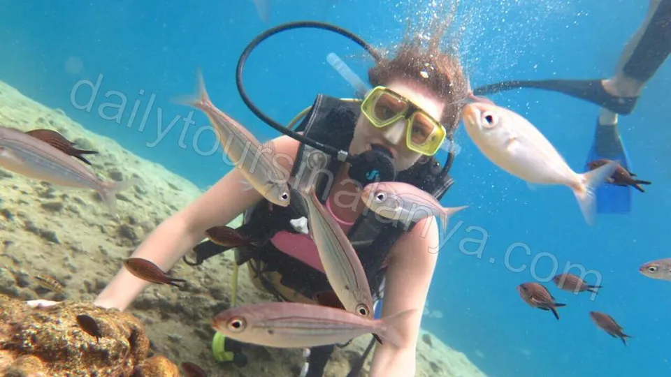 Alanya Diving Tour photo 9