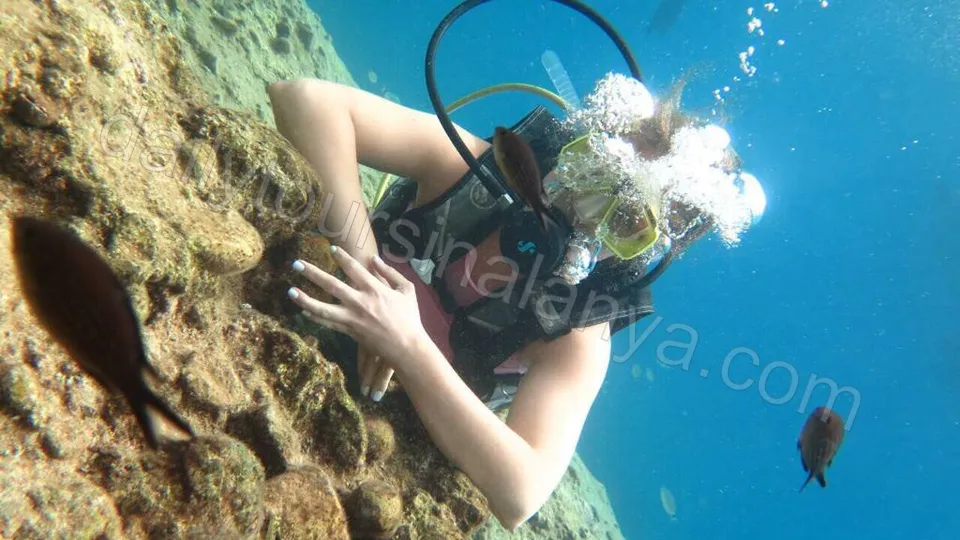 Alanya Diving Tour photo 12