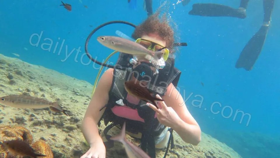 Alanya Diving Tour photo 18