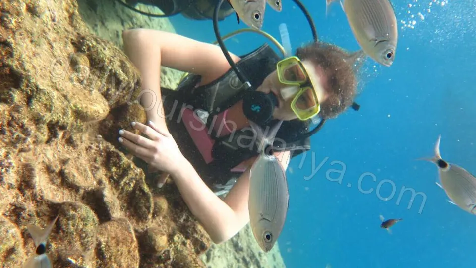 Alanya Diving Tour photo 22