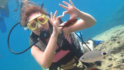 Alanya Diving