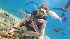 Alanya Diving Tour nav photo 9