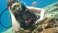 Alanya Diving Tour nav photo 11