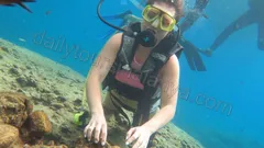 Alanya Diving Tour nav photo 13