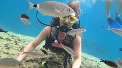 Alanya Diving Tour nav photo 15