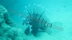 Alanya Diving Tour nav photo 19