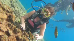 Alanya Diving Tour nav photo 7