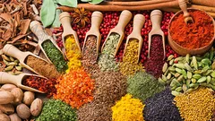 Istanbul Tour from Alanya nav photo 9