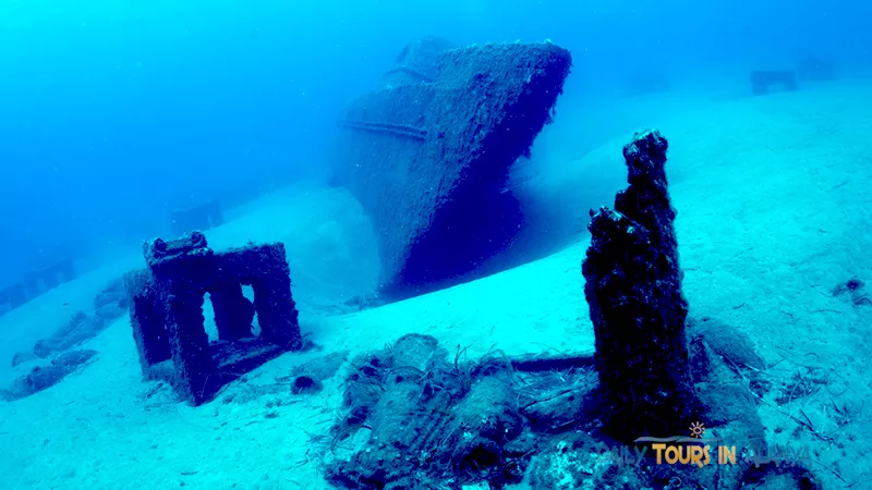Alanya Diving image 15