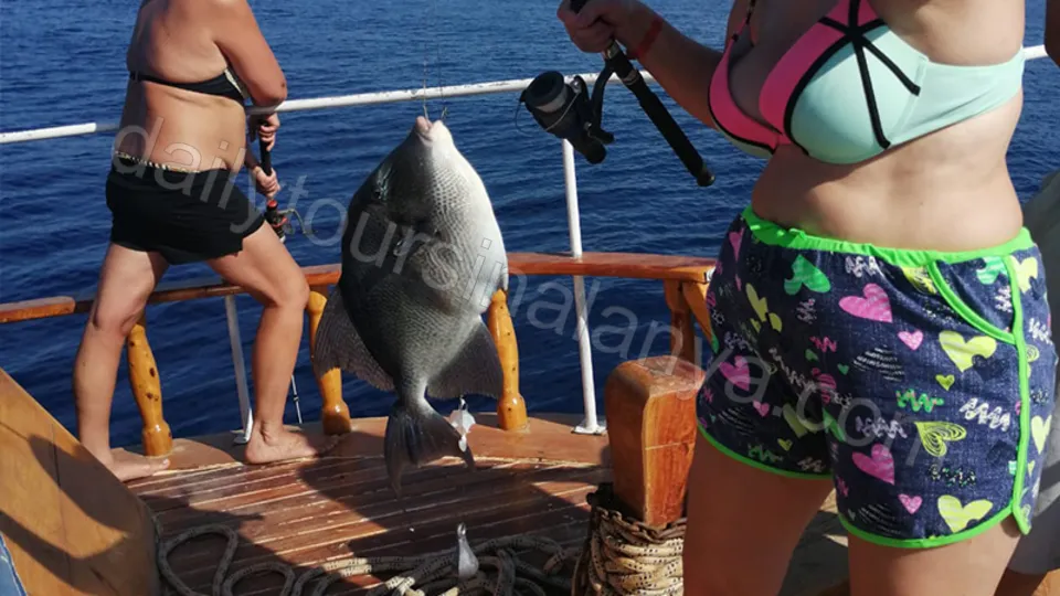 Рыбалка в Алании с группой photo 19