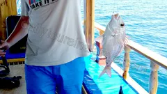 Рыбалка в Алании с группой nav photo 16