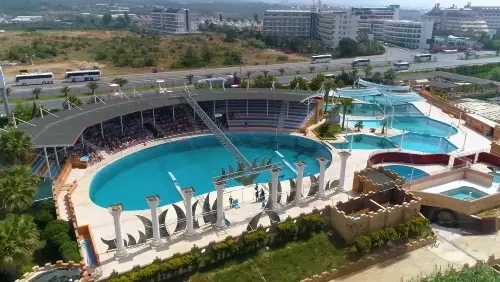 Alanya Yunus Gösterisi animation image 