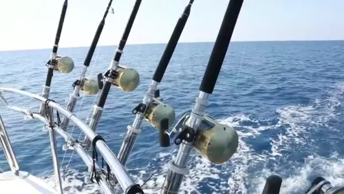 Рыбалка в Алании с группой animation image 