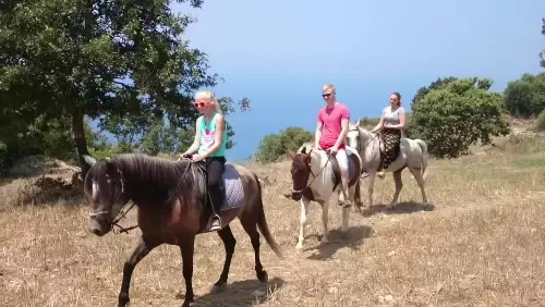 Прогулка на лошадях в Алании animation image 