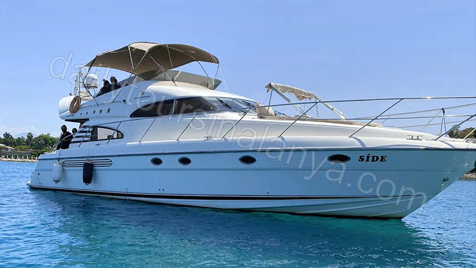 Moonlight Luxury photo 2