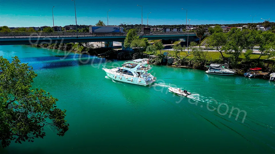 Apollo SS Luxury photo 7