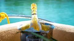 Apollo SS Luxury nav photo 9