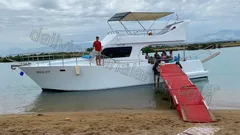 Norge Vip nav photo 0