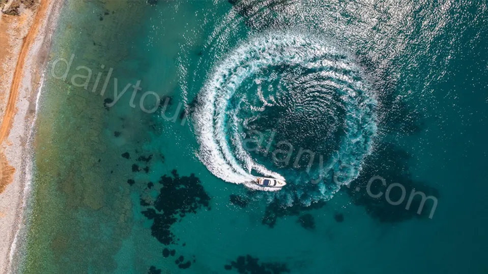 Barbossa Deluxe photo 14